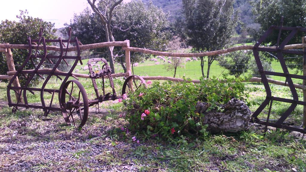 Agriturismo Cugumia Thiesi Eksteriør billede