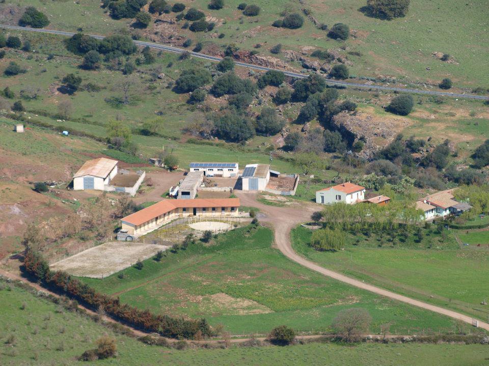 Agriturismo Cugumia Thiesi Eksteriør billede